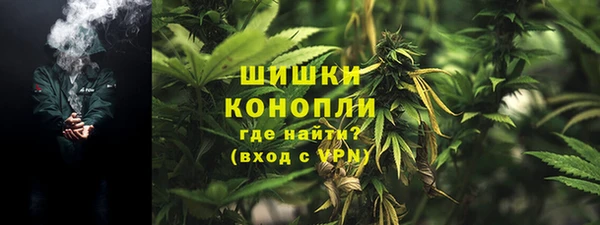 крисы Новый Уренгой